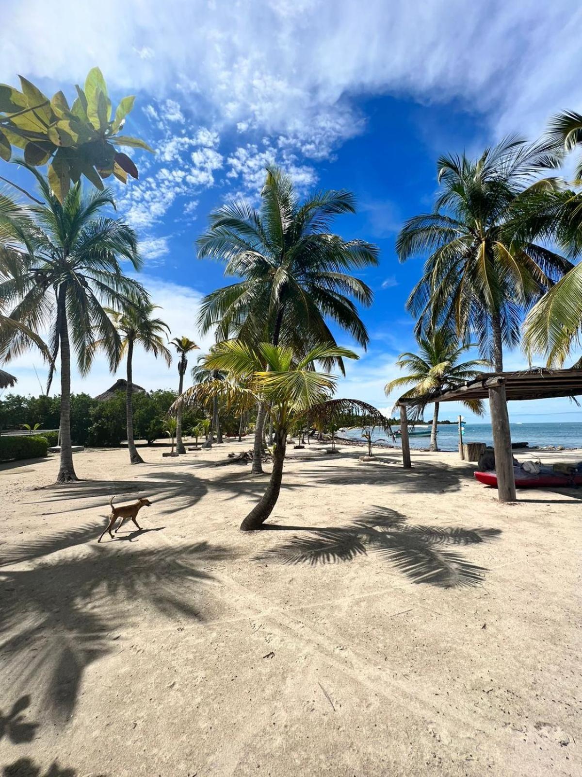 Hostel Beach House Rincon ภายนอก รูปภาพ